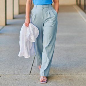 Uniqlo Pleated Wide Pants